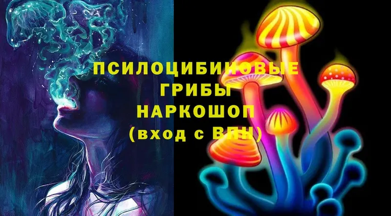 Псилоцибиновые грибы MAGIC MUSHROOMS  мега ТОР  Серпухов 